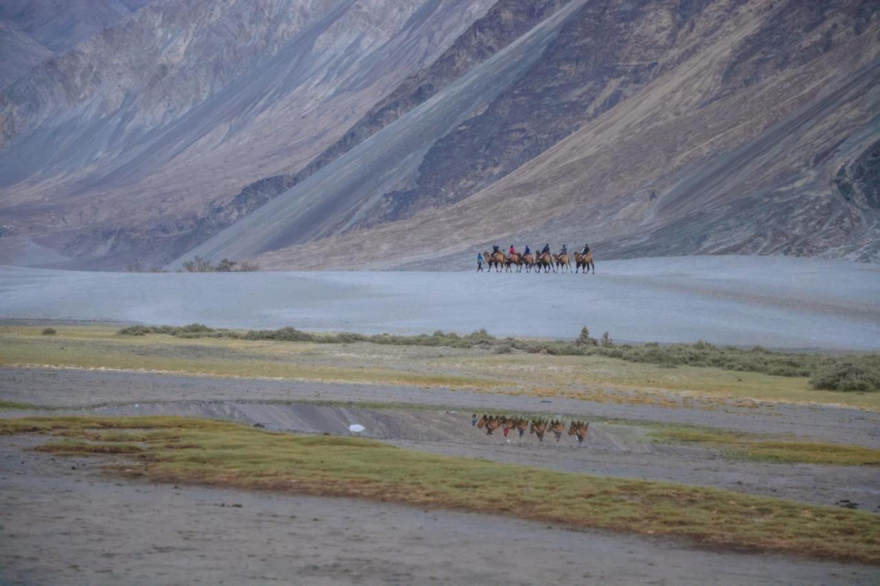 Chamba Camp Diskit Nubra Zewnętrze zdjęcie